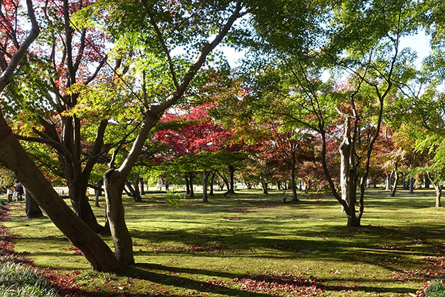 20151128-DSC02579