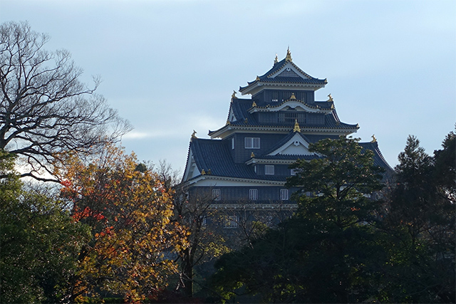 20151128-DSC02619