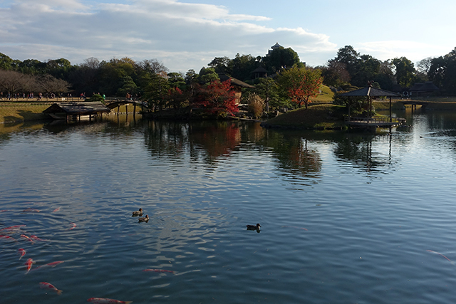 20151128-DSC02719