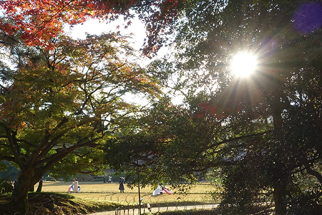 20151128-DSC02785
