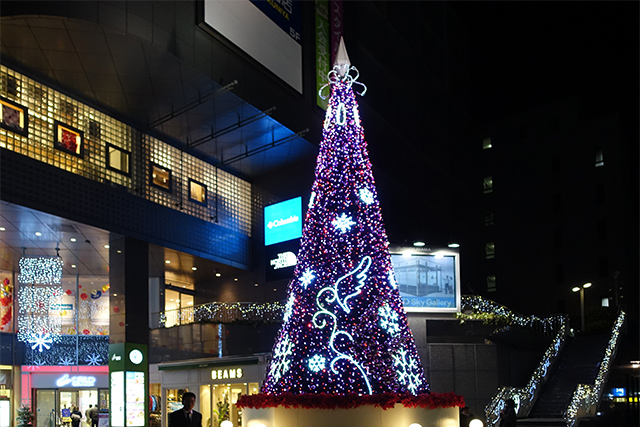 20151128-DSC02857