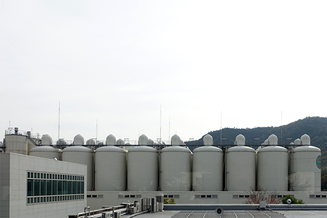 20151129-DSC02920