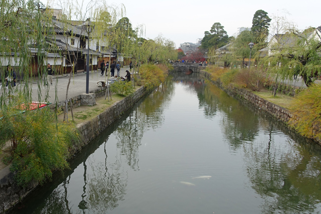 20151129-DSC03154