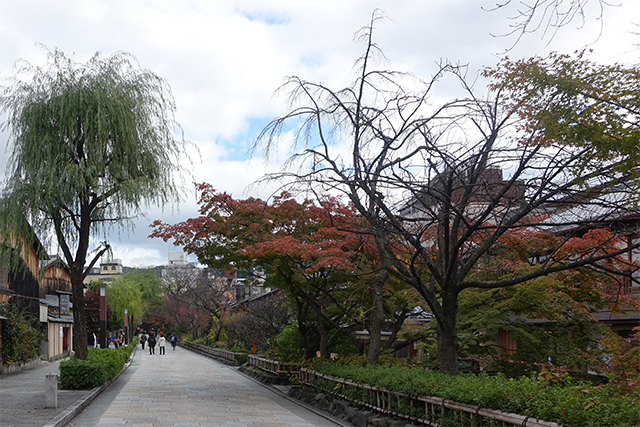 20151201-DSC03632