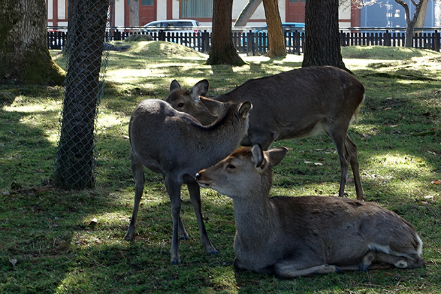 20151202-DSC03783