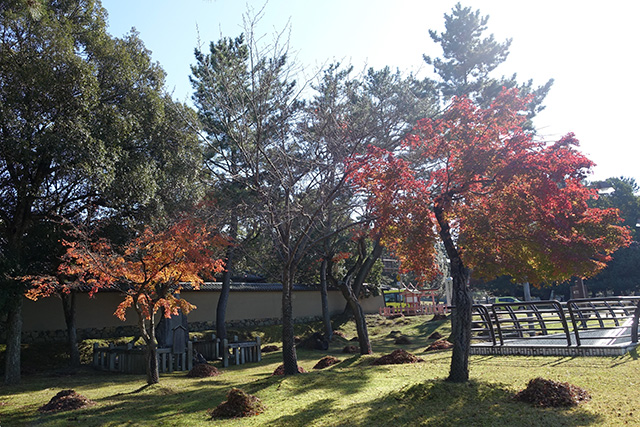 20151202-DSC03799