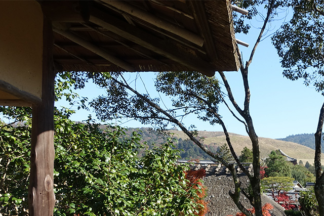 20151202-DSC03831