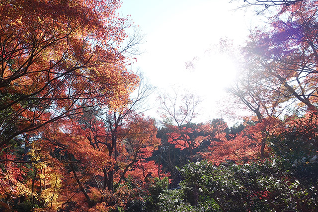 20151202-DSC03852