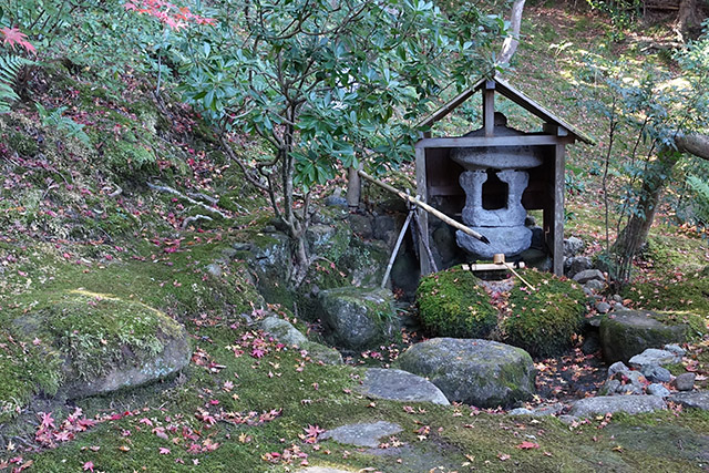 20151202-DSC03876