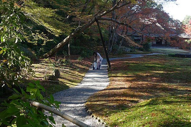 20151202-DSC03938