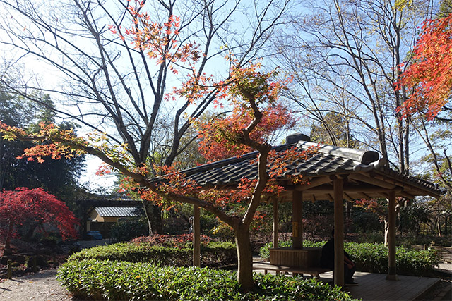 20151202-DSC03951