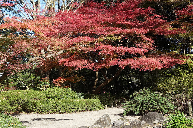 20151202-DSC03966