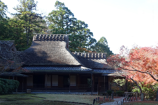 20151202-DSC03974