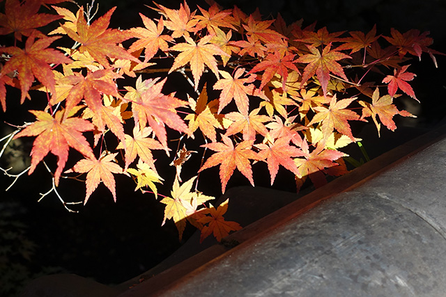 20151202-DSC04006