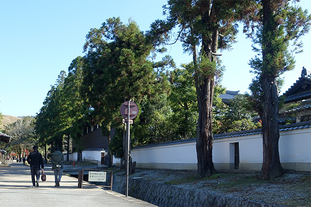 20151202-DSC04022