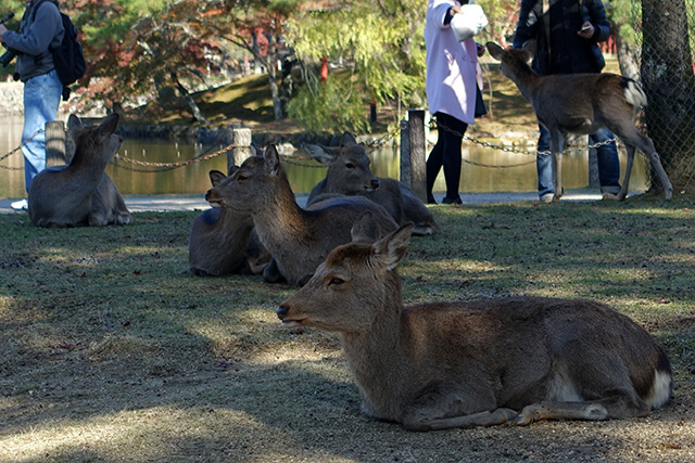 20151202-DSC04029