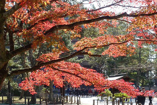 20151202-DSC04032