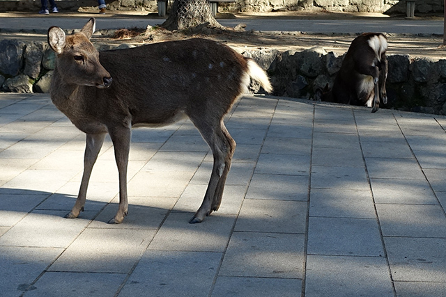 20151202-DSC04063