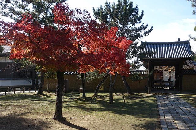 20151202-DSC04078