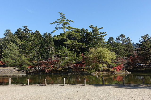 20151202-DSC04080