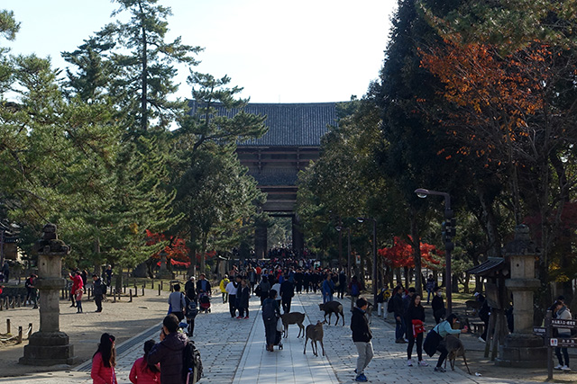 20151202-DSC04106