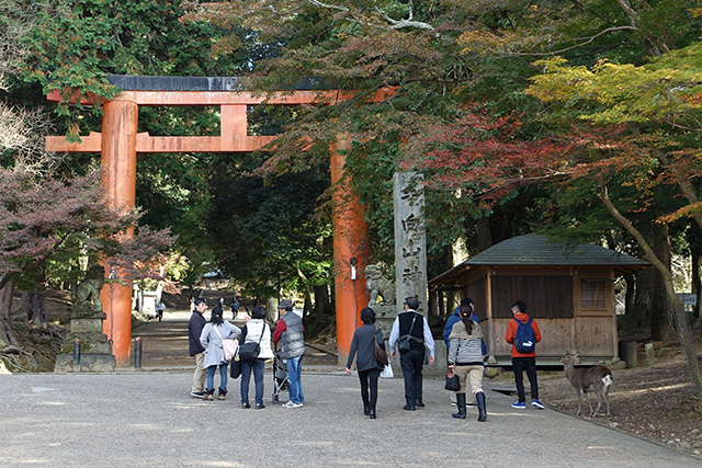 20151202-DSC04110