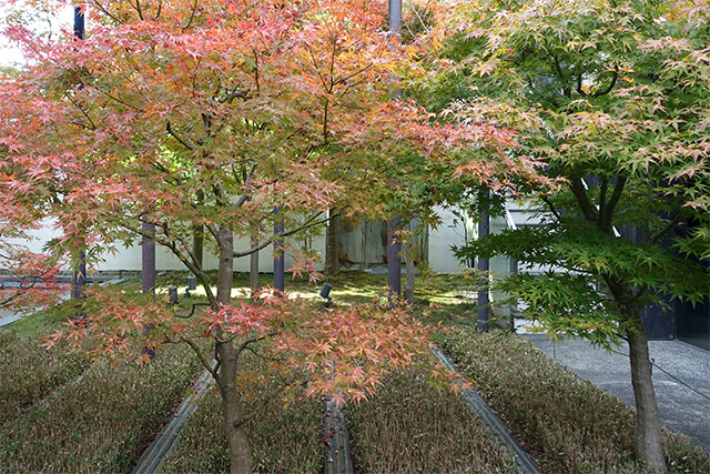 20151202-DSC04138