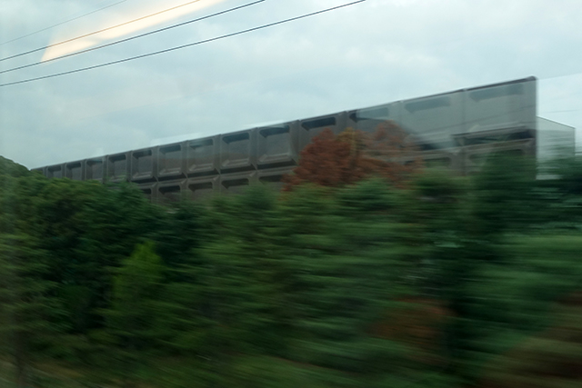 20151123-DSC09883