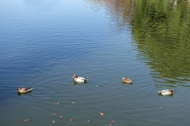 20151127-DSC01986