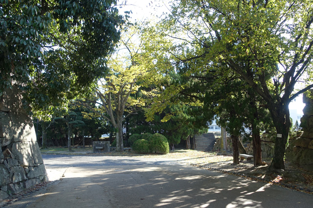 20151127-DSC01991