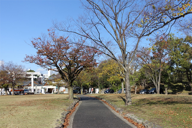 20151127-DSC01994