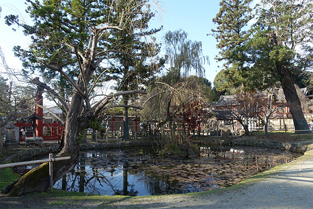 20151202-DSC04148