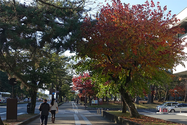 20151202-DSC04155