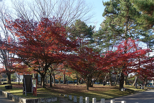 20151202-DSC04160