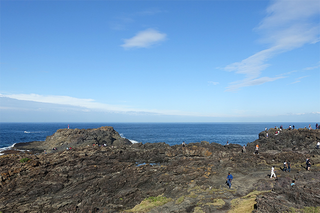 20160325-DSC05485