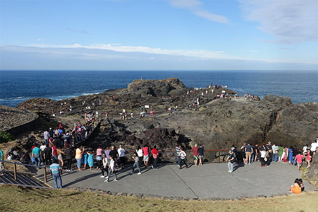 20160325-DSC05524