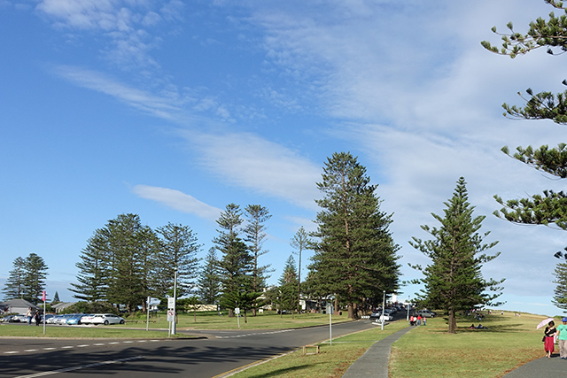 20160325-DSC05540