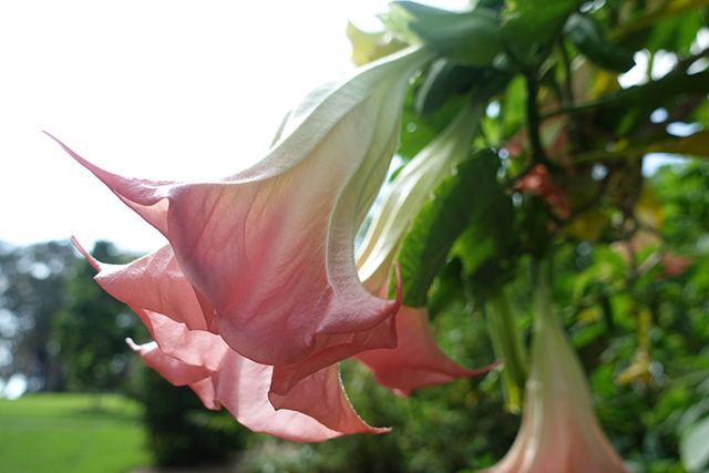 20160326-DSC05740