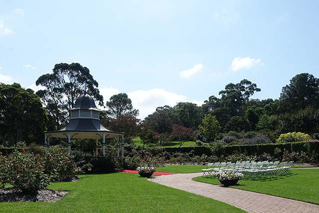 20160326-DSC05834