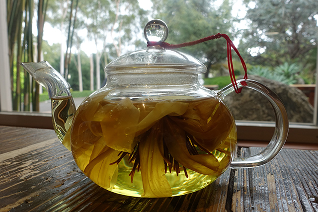 20160327-DSC06158