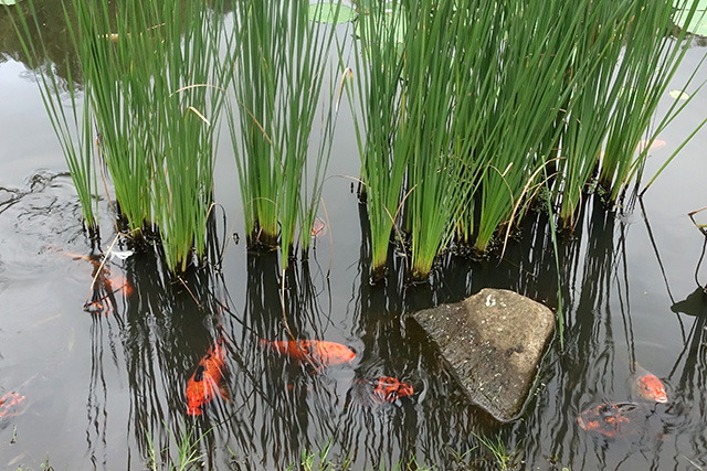 20160327-DSC06197