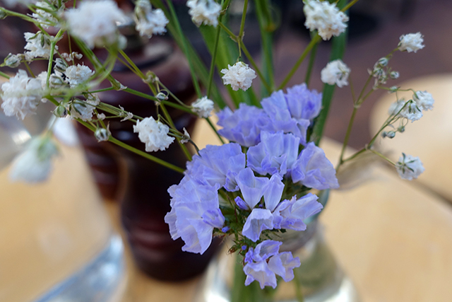 20160504-DSC06480